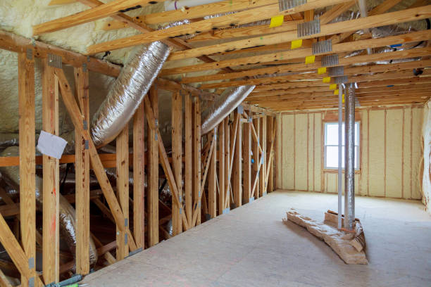 Best Insulation Inspection Services  in Mission, TX